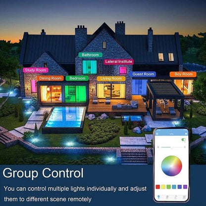 LED Music Ceiling Light - Dimmable Music Light, RGB Color Changing Light with App and Remote Control